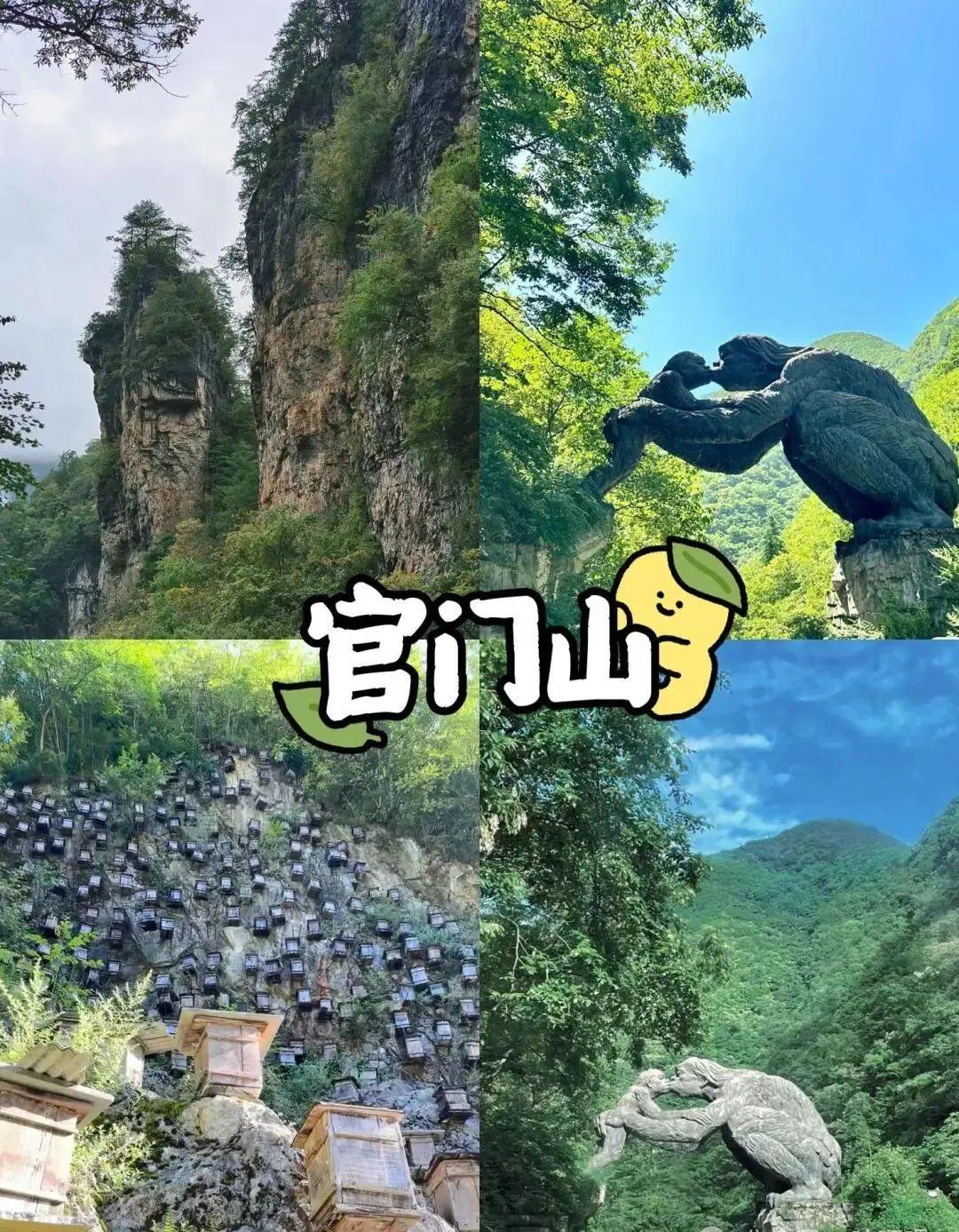 靖安原始森林小径, 古木参天, 绿意盎然, 阳光透过树叶洒在石阶上, 亲子家庭在林间漫步, 清新自然