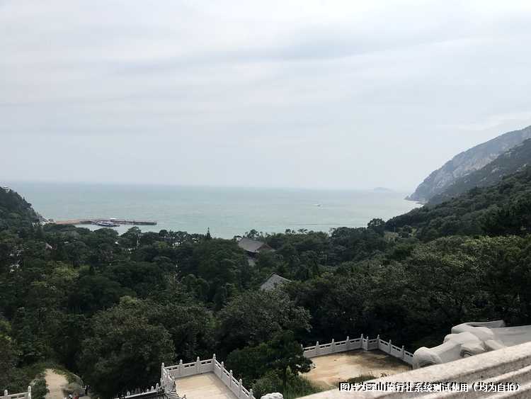 元旦游